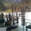 Отель Olifants River Lodge & Safaris, фото 10