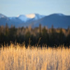 Отель Meadow Lake Guest Ranch, фото 34