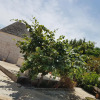 Отель Trulli della Masseria Staffone, фото 10
