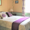 Отель O'Connors Guesthouse, фото 7