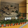 Отель Dongsheng Kaiting Hotel, фото 2
