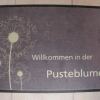 Отель Ferienwohnung Pusteblume, фото 13