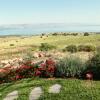 Отель Sea Of Galilee Site, фото 7