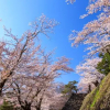 Отель Nunohiki Onsen Komoro, фото 19