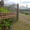 Отель Ifiele'ele Plantation, фото 17