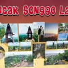 Отель Seribu Batu Songgo Langit Resort & Camp, фото 5