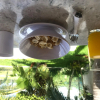 Отель Casa Maraf Hotel Boutique - Adults Only, фото 23