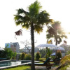 Отель Lemon Guest House, фото 16