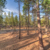 Отель Deer Lane 11 by Village Properties at Sunriver, фото 10