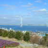 Отель Ebisu Awajishima, фото 1