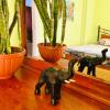 Отель Elephant House with Sea View, фото 9