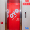 Отель Donglai Business Hotel, фото 1
