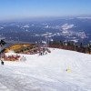 Отель Mountain Apartment in Bad Kotzting, фото 11
