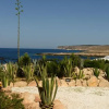 Отель Cala Madonna Club - Resort, фото 7