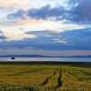 Отель 1-bed Cottage on Coastal Pathway in South Wales, фото 17