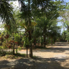 Отель Pang Mai Resort, фото 15