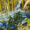 Отель Beautiful Beachside House Goa 50 Meters From Beach, фото 12