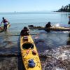 Отель Qualicum Bay Resort, фото 16