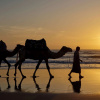 Отель Fairmont Taghazout Bay, фото 23