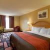 Отель Quality Inn & Suites, фото 8