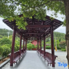 Отель Xintai Garden Hotel, фото 9