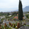 Отель Selecta Hotel Batu Malang - Adults Only, фото 27