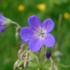 Отель Dalseter Høyfjellshotell, фото 26