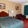 Отель Blue Star Motel, фото 3