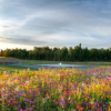 Отель The Cannery Lodge, фото 18