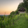 Отель Vineyard Cottage Škatlar 1, фото 6