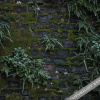 Отель Jiuqi · Xitang Guyun Boutique Garden Hotel, фото 14