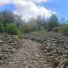 Отель Bulle de Bois, écolodge insolite avec spa privatif au milieu des volcans - Bulles d'Herbe, фото 5