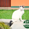 Отель Jacks Bed And Breakfast, фото 16