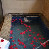Отель Chaohu Fragrant Hotspring Spa Resort, фото 8