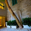 Отель FabrisPalace Residence, фото 18
