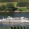 Отель Weingut-Brennerei-Gästehaus Emil Dauns, фото 6