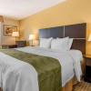 Отель Quality Inn & Suites, фото 30