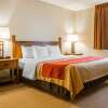 Отель Quality Inn, фото 4