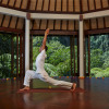 Отель Bagus Jati Health & Well Being Retreat, фото 22