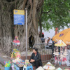 Отель AncyrA TamTam Hotel by Continent - Near Hoan Kiem Lake, фото 48