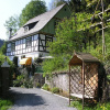 Отель Pension-Gasthof-Haus im Wiesengrund, фото 8