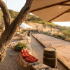 Отель Viñedos Puerta del Lobo, фото 20