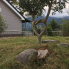 Отель Yuli Sun Homestay, фото 16