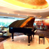 Отель HNA New World Hotel Danzhou, фото 2