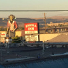 Отель Umatilla Inn and Suites, фото 11