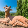 Отель House Il Casale Vinci, фото 21