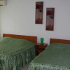 Отель Pensiunea Alexia, фото 9