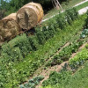 Отель Agriturismo Gon, фото 5