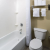 Отель Best Western Plus Henderson Hotel, фото 6