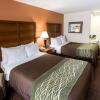 Отель Comfort Inn Okemos - East Lansing, фото 27